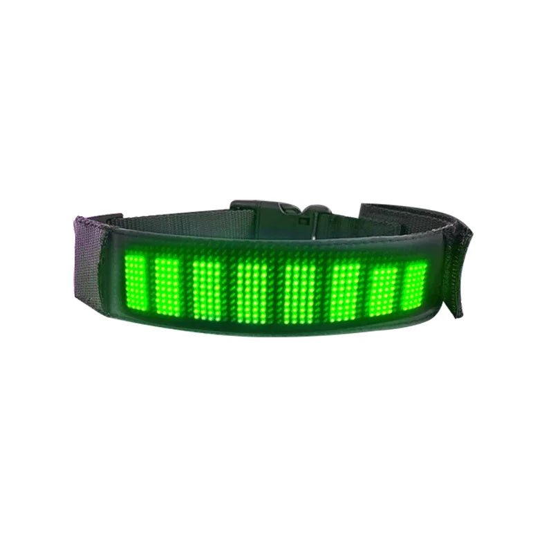 Colliers LED multicolores | Sécurité Nocturne - Balade.le.chien.com