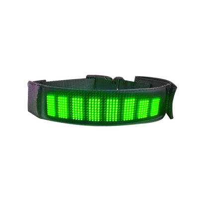 Colliers LED multicolores | Sécurité Nocturne - Balade.le.chien.com