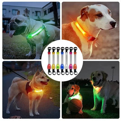 Colliers lumineux pour Chiens | NightSafe - Balade.le.chien.com