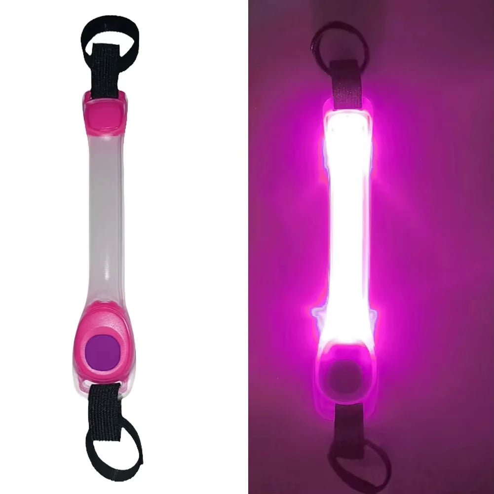 Colliers lumineux pour Chiens | NightSafe - Balade.le.chien.com