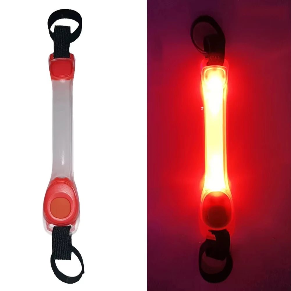 Colliers lumineux pour Chiens | NightSafe - Balade.le.chien.com