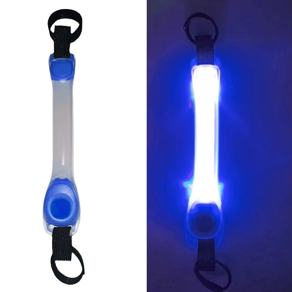 Colliers lumineux pour Chiens | NightSafe - Balade.le.chien.com