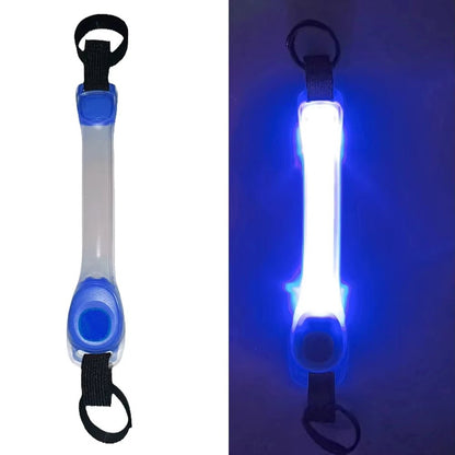 Colliers lumineux pour Chiens | NightSafe - Balade.le.chien.com