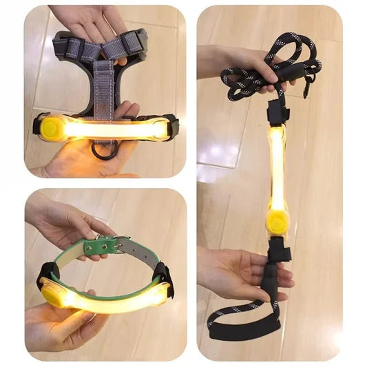 Colliers lumineux pour Chiens | NightSafe - Balade.le.chien.com