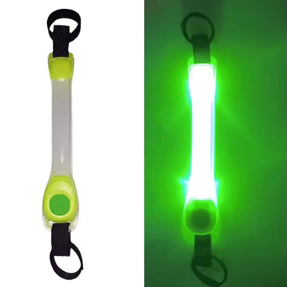 Colliers lumineux pour Chiens | NightSafe - Balade.le.chien.com