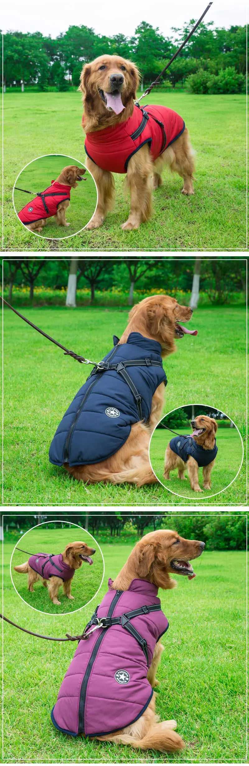 Harnais d'hiver pour chien : Le manteau multifonctionnel ultime