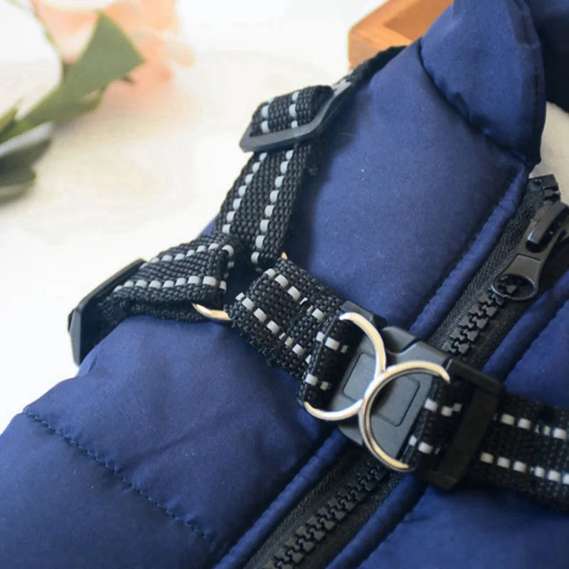 Harnais d'hiver pour chien : Le manteau multifonctionnel ultime