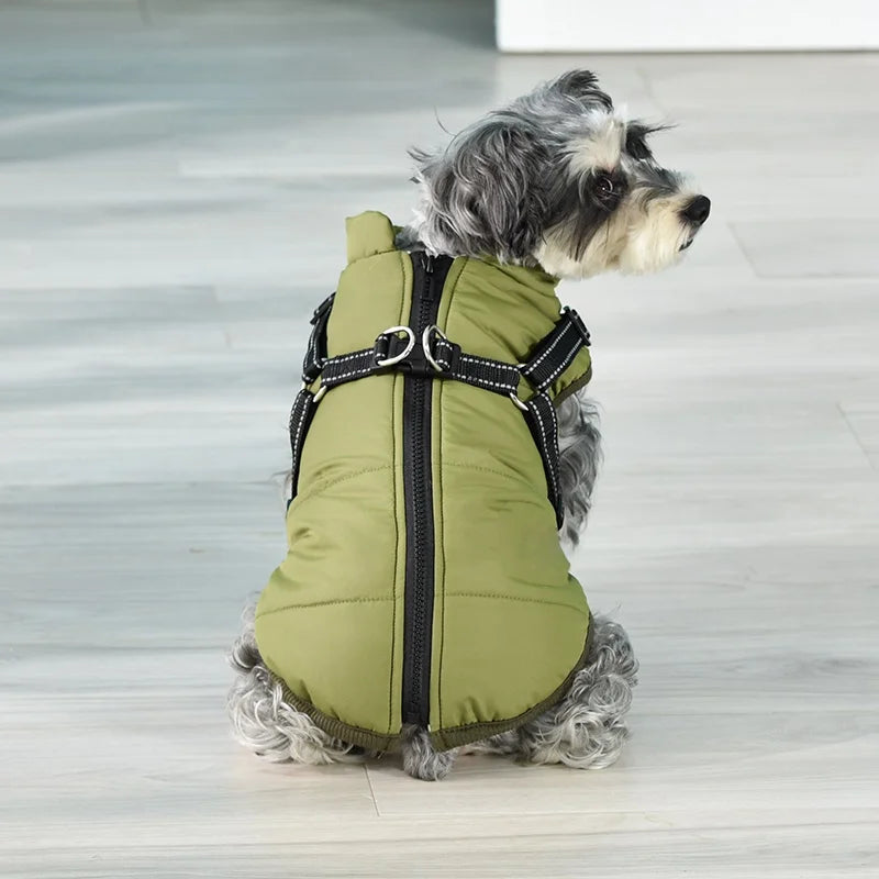 Harnais d'hiver pour chien : Le manteau multifonctionnel ultime