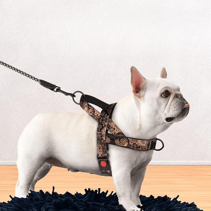 DogSafeHarness™ - Noir Doré harnais d été - Balade.le.chien.com