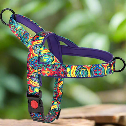 DogSafeHarness™ - Violet d été - Balade.le.chien.com