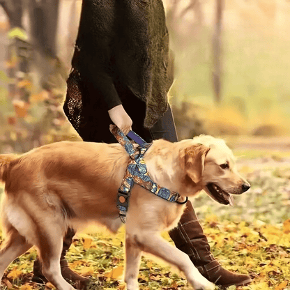 DogSafeHarness™ - Violet d été - Balade.le.chien.com
