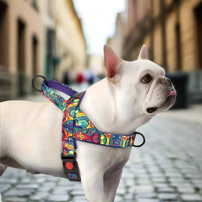 DogSafeHarness™ - Violet d été - Balade.le.chien.com