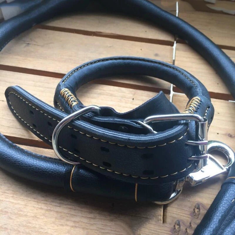 Ensemble Collier et Laisse en Cuir Véritable Noir – Chien Moyen et Grand - Balade.le.chien.com