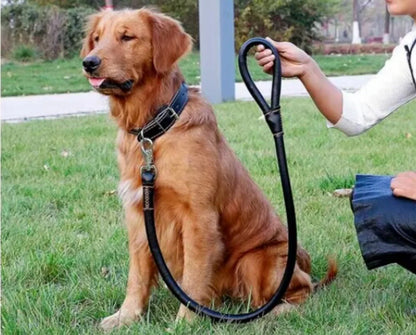 Ensemble Collier et Laisse en Cuir Véritable Noir – Chien Moyen et Grand - Balade.le.chien.com
