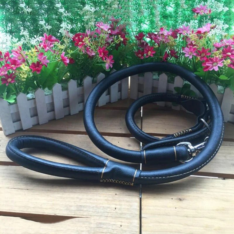 Ensemble Collier et Laisse en Cuir Véritable Noir – Chien Moyen et Grand - Balade.le.chien.com
