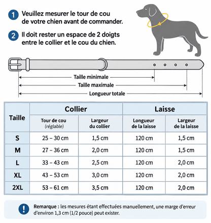 Ensemble de Laisse de Collier| Cuir Rembourré - Balade.le.chien.com