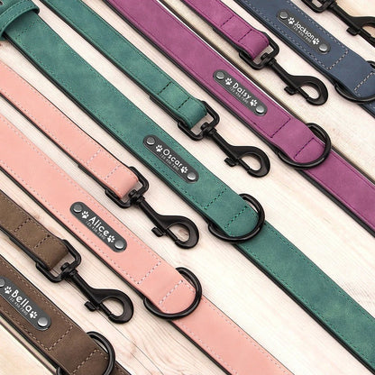 Ensemble de Laisse de Collier| Cuir Rembourré - Balade.le.chien.com