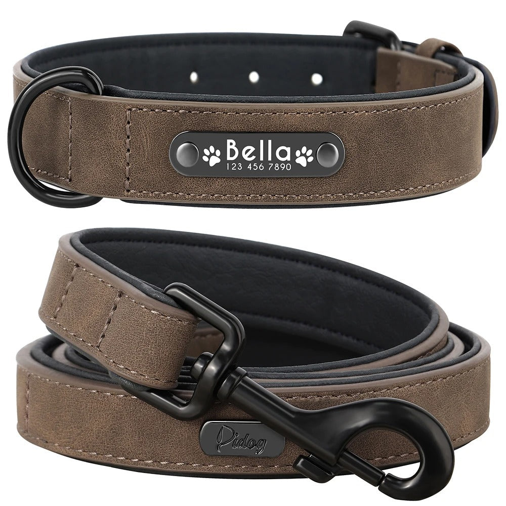 Ensemble de Laisse de Collier| Cuir Rembourré - Balade.le.chien.com