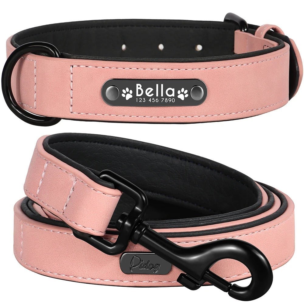 Ensemble de Laisse de Collier| Cuir Rembourré - Balade.le.chien.com