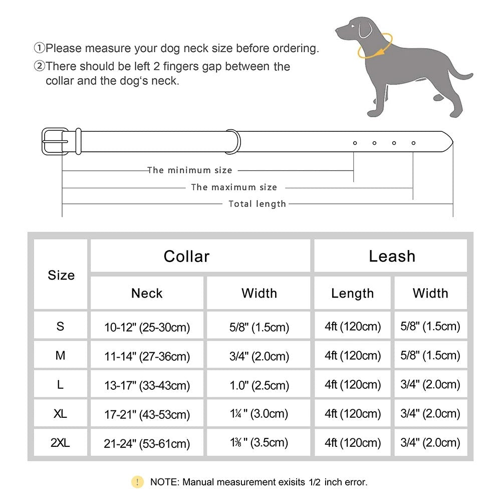 Ensemble de Laisse de Collier| Cuir Rembourré - Balade.le.chien.com