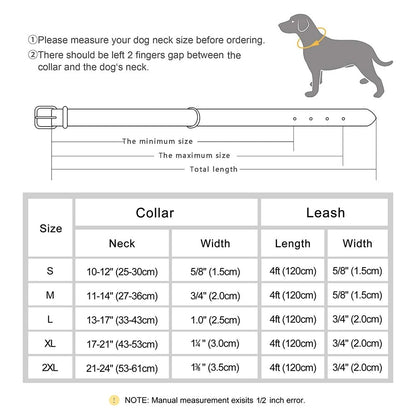 Ensemble de Laisse de Collier| Cuir Rembourré - Balade.le.chien.com