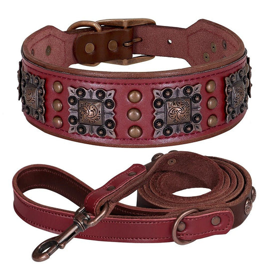 Ensemble laisse collier pour chien | Cuir Véritable - Balade.le.chien.com