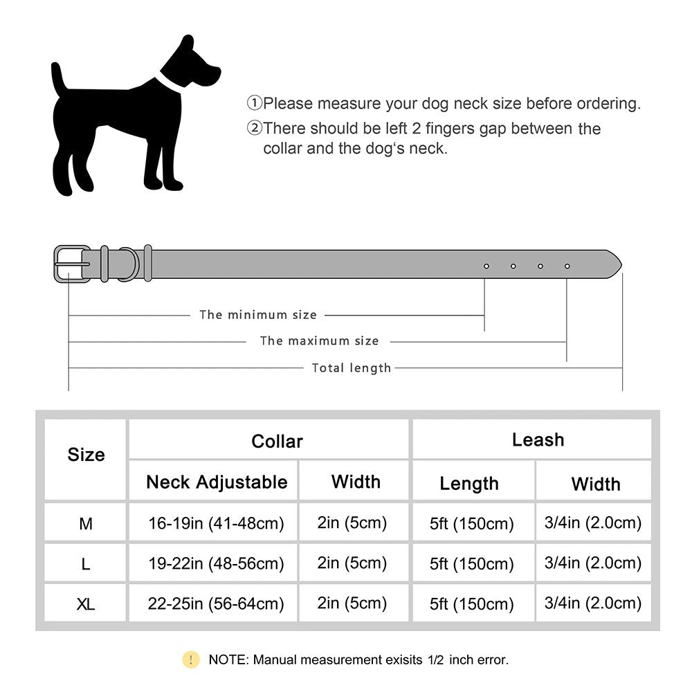 Ensemble laisse collier pour chien | Cuir Véritable - Balade.le.chien.com