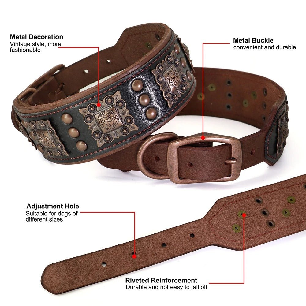 Ensemble laisse collier pour chien | Cuir Véritable - Balade.le.chien.com
