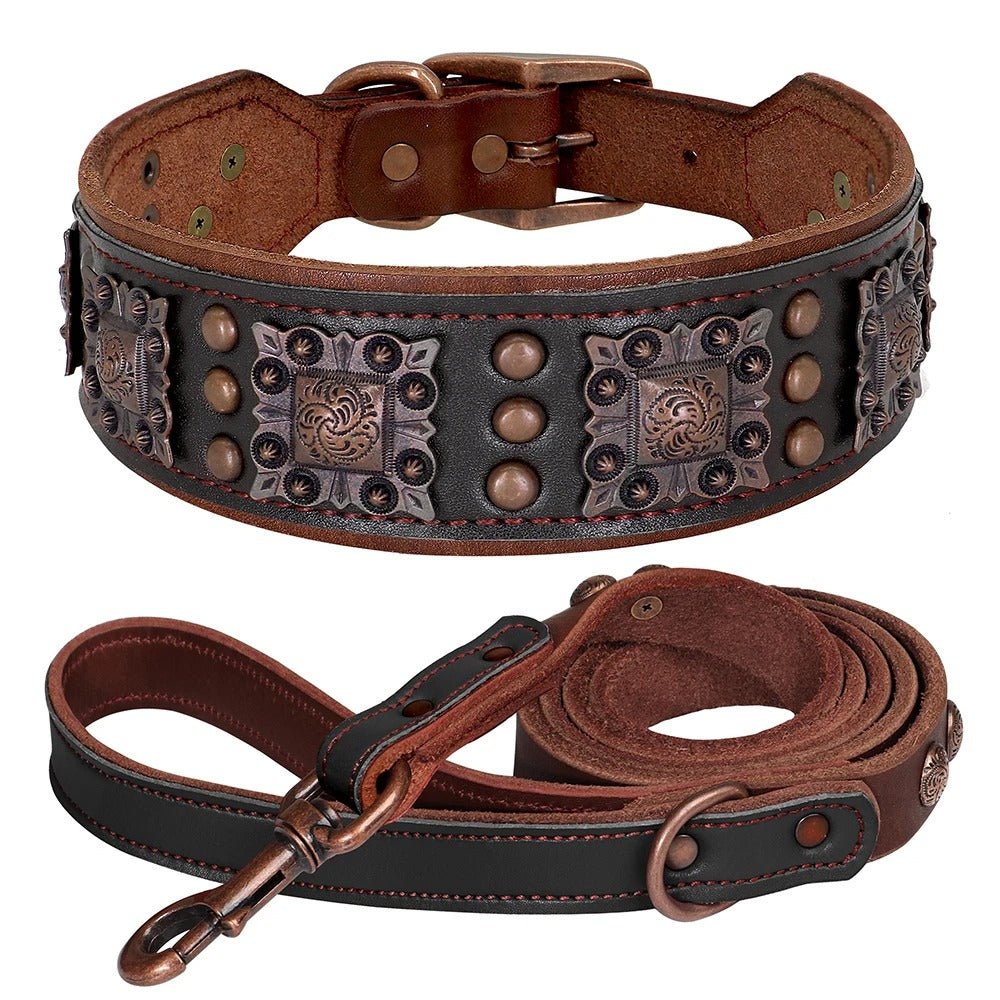 Ensemble laisse collier pour chien | Cuir Véritable - Balade.le.chien.com