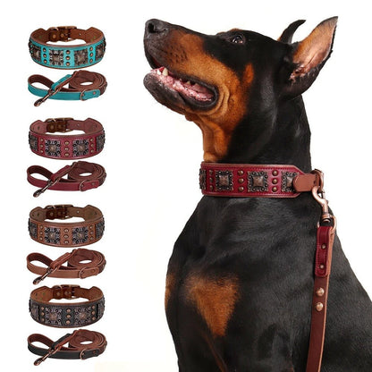 Ensemble laisse collier pour chien | Cuir Véritable - Balade.le.chien.com
