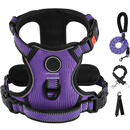 Ensemble Laisse Harnais Chien Oxford Réfléchissant | Balade le Chien - Balade.le.chien.com