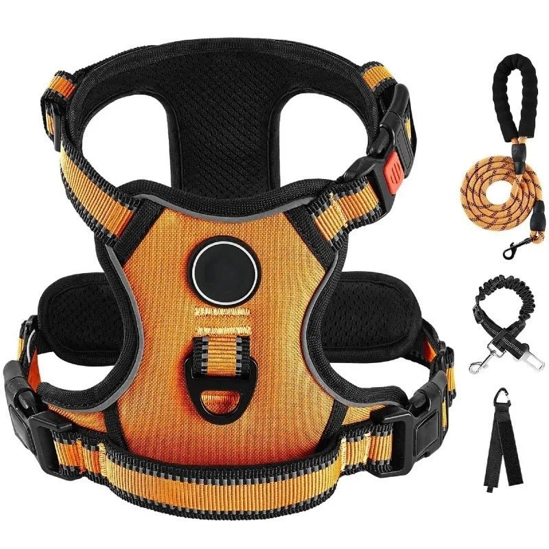 Ensemble Laisse Harnais Chien Oxford Réfléchissant | Balade le Chien - Balade.le.chien.com