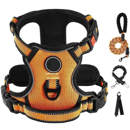 Ensemble Laisse Harnais Chien Oxford Réfléchissant | Balade le Chien - Balade.le.chien.com
