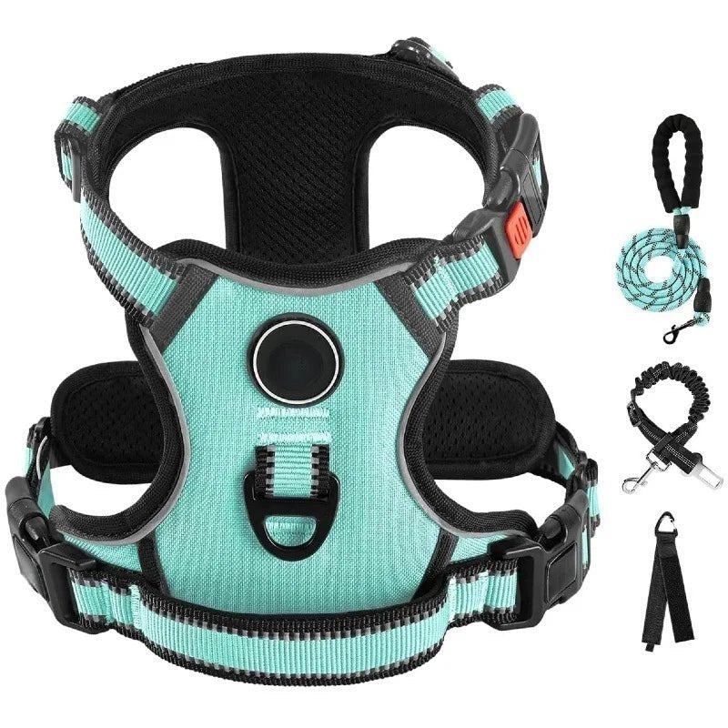 Ensemble Laisse Harnais Chien Oxford Réfléchissant | Balade le Chien - Balade.le.chien.com