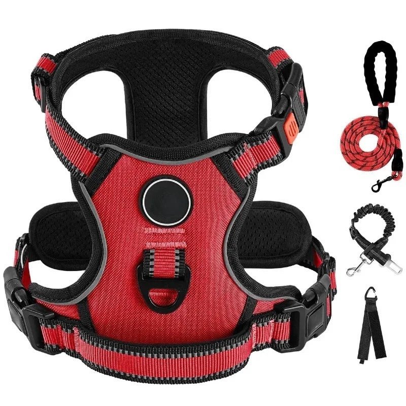 Ensemble Laisse Harnais Chien Oxford Réfléchissant | Balade le Chien - Balade.le.chien.com