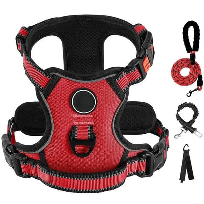 Ensemble Laisse Harnais Chien Oxford Réfléchissant | Balade le Chien - Balade.le.chien.com