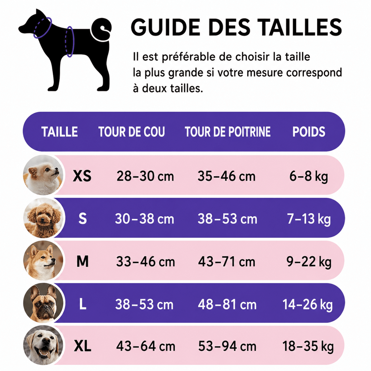 Ensemble Laisse Harnais Chien Oxford Réfléchissant | Balade le Chien - Balade.le.chien.com