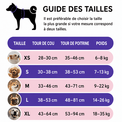 Ensemble Laisse Harnais Chien Oxford Réfléchissant | Balade le Chien - Balade.le.chien.com