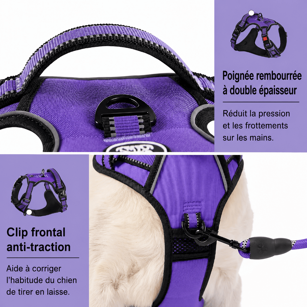 Ensemble Laisse Harnais Chien Oxford Réfléchissant | Balade le Chien - Balade.le.chien.com