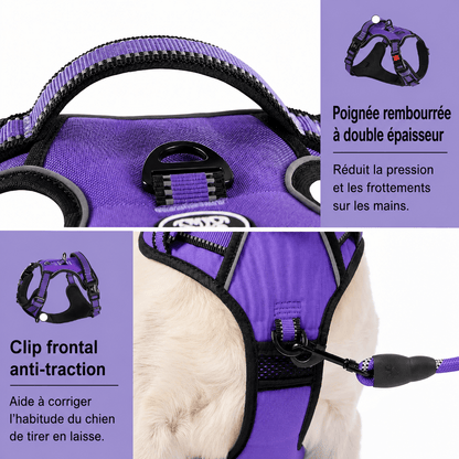 Ensemble Laisse Harnais Chien Oxford Réfléchissant | Balade le Chien - Balade.le.chien.com