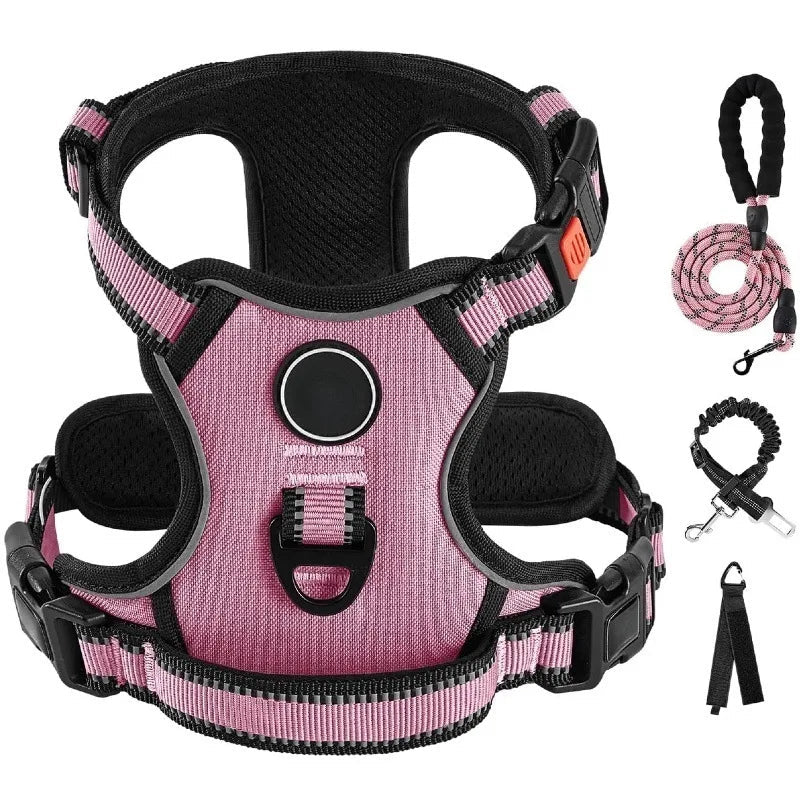 Ensemble Laisse Harnais Chien Oxford Réfléchissant | Balade le Chien - Balade.le.chien.com