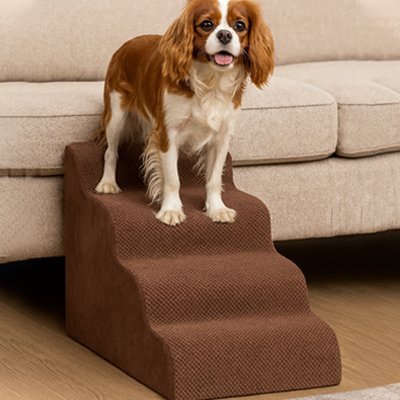 Escalier pour Chien | PawComfort - Balade.le.chien.com