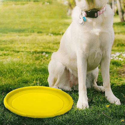 FlyDog™ - Jaune - Balade.le.chien.com