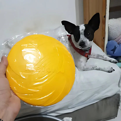 FlyDog™ - Jaune - Balade.le.chien.com