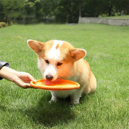 FlyDog™ - Orange - Balade.le.chien.com