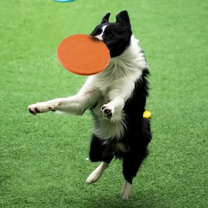 FlyDog™ - Orange - Balade.le.chien.com