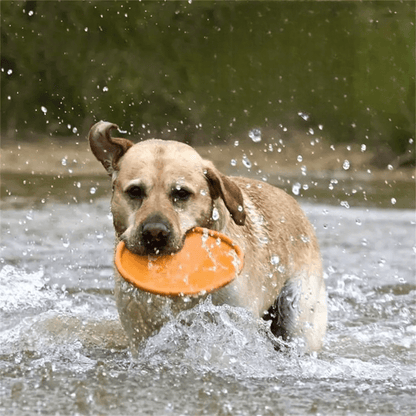 FlyDog™ - Orange - Balade.le.chien.com