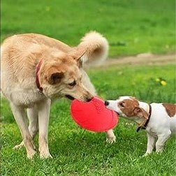 FlyDog™ - Rouge - Balade.le.chien.com