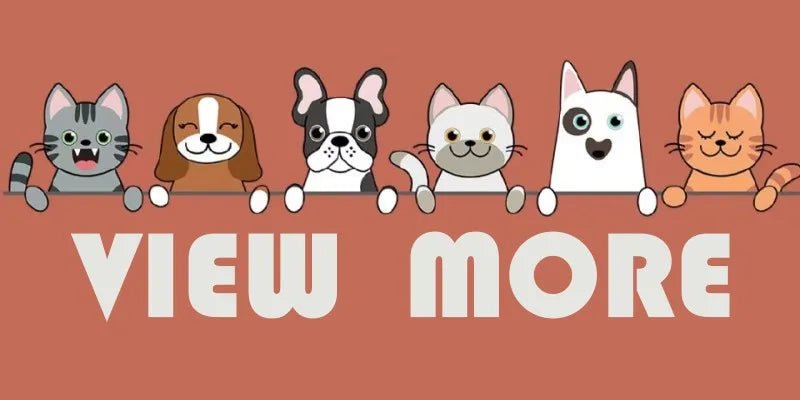 Gilet Rafraîchissant pour Chien - Balade.le.chien.com