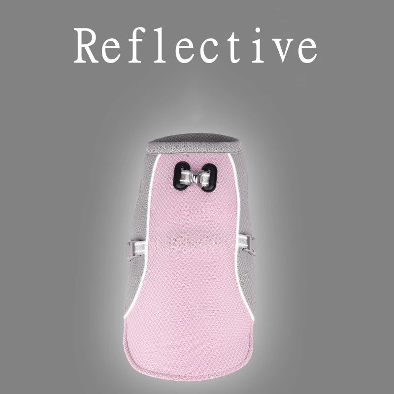 Gilet Rafraîchissant pour Chien - Balade.le.chien.com